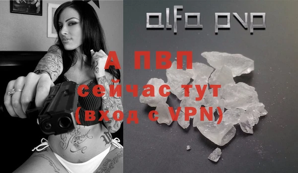 apvp Алзамай