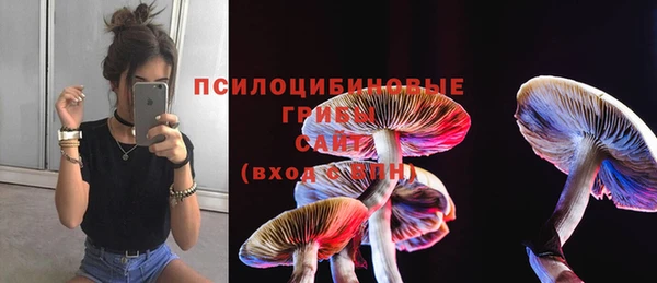 эйфоретик Аркадак