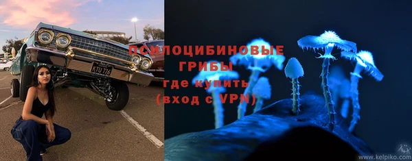 apvp Алзамай