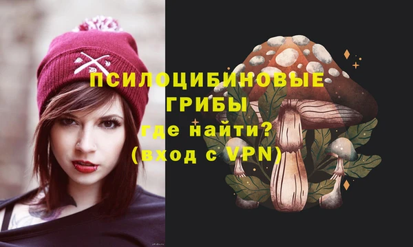 apvp Алзамай
