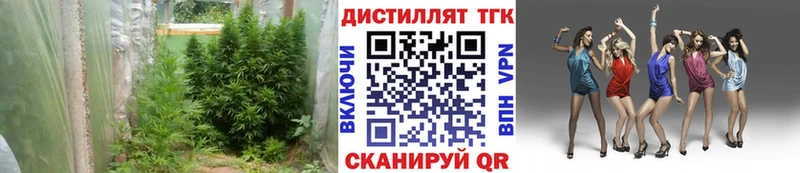 ТГК THC oil Чердынь