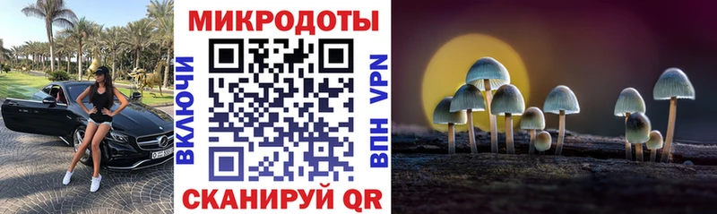 Галлюциногенные грибы мухоморы  цена наркотик  Чердынь 
